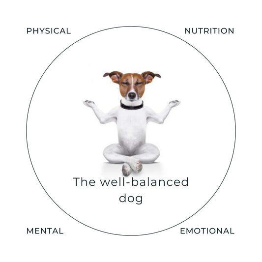 The well-balanced dog